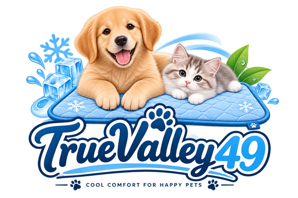 TrueValley49.site